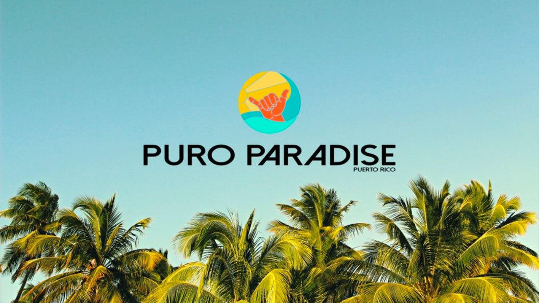 A New Era of Paradise: Introducing "Puro Paradise"