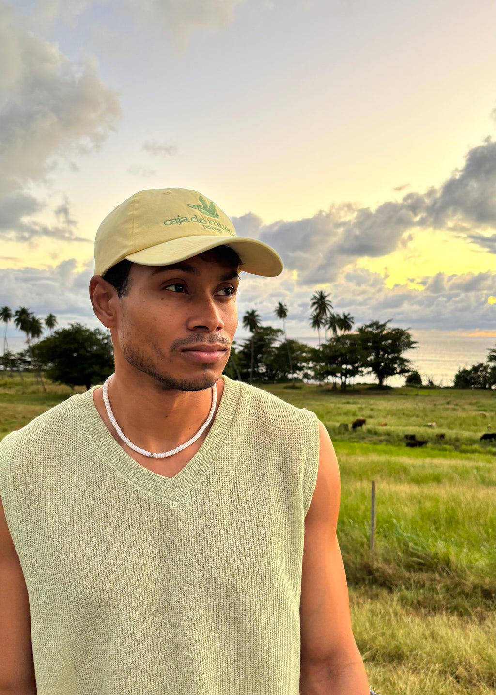 Caja de Muerto Yellow Dad Hat