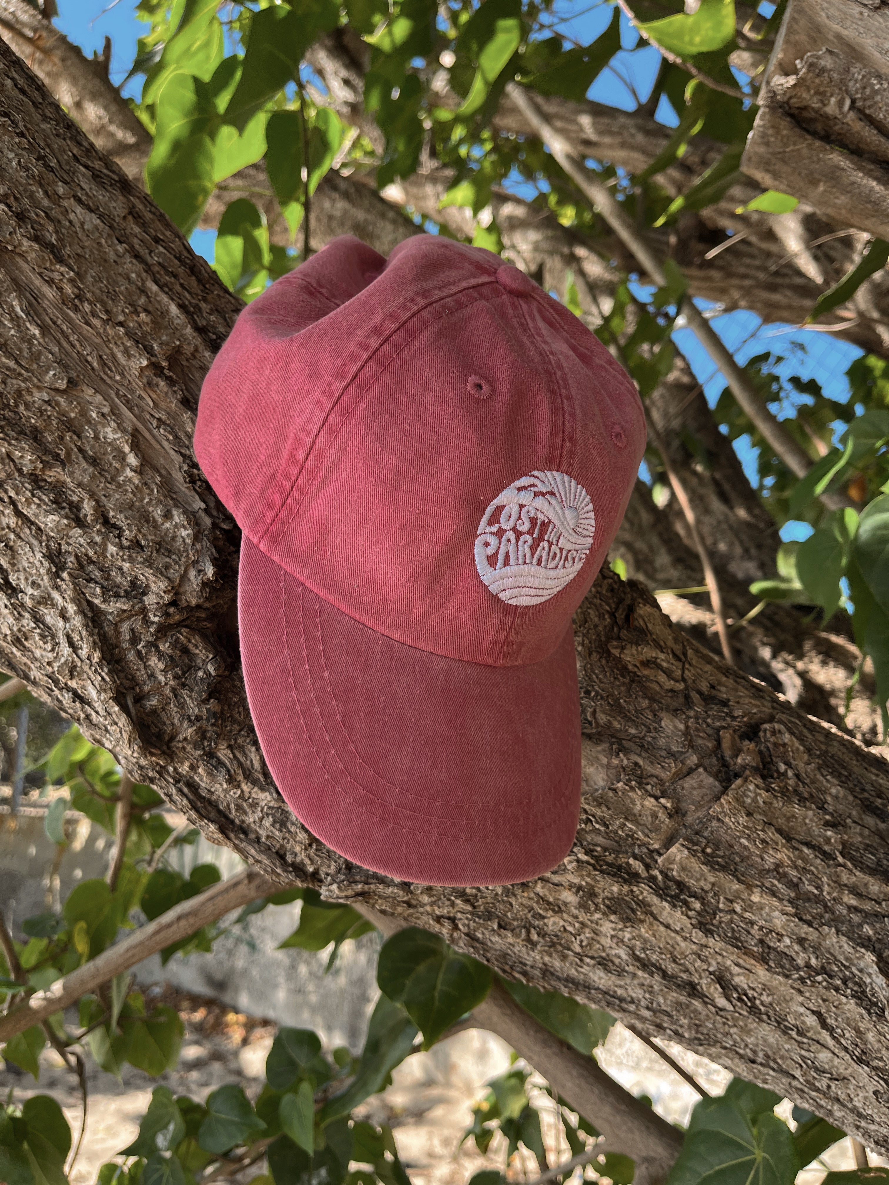 Lost in Paradise, Classic, Puro Paradise, Puerto Rico, dad hat, clothing, pink, hat