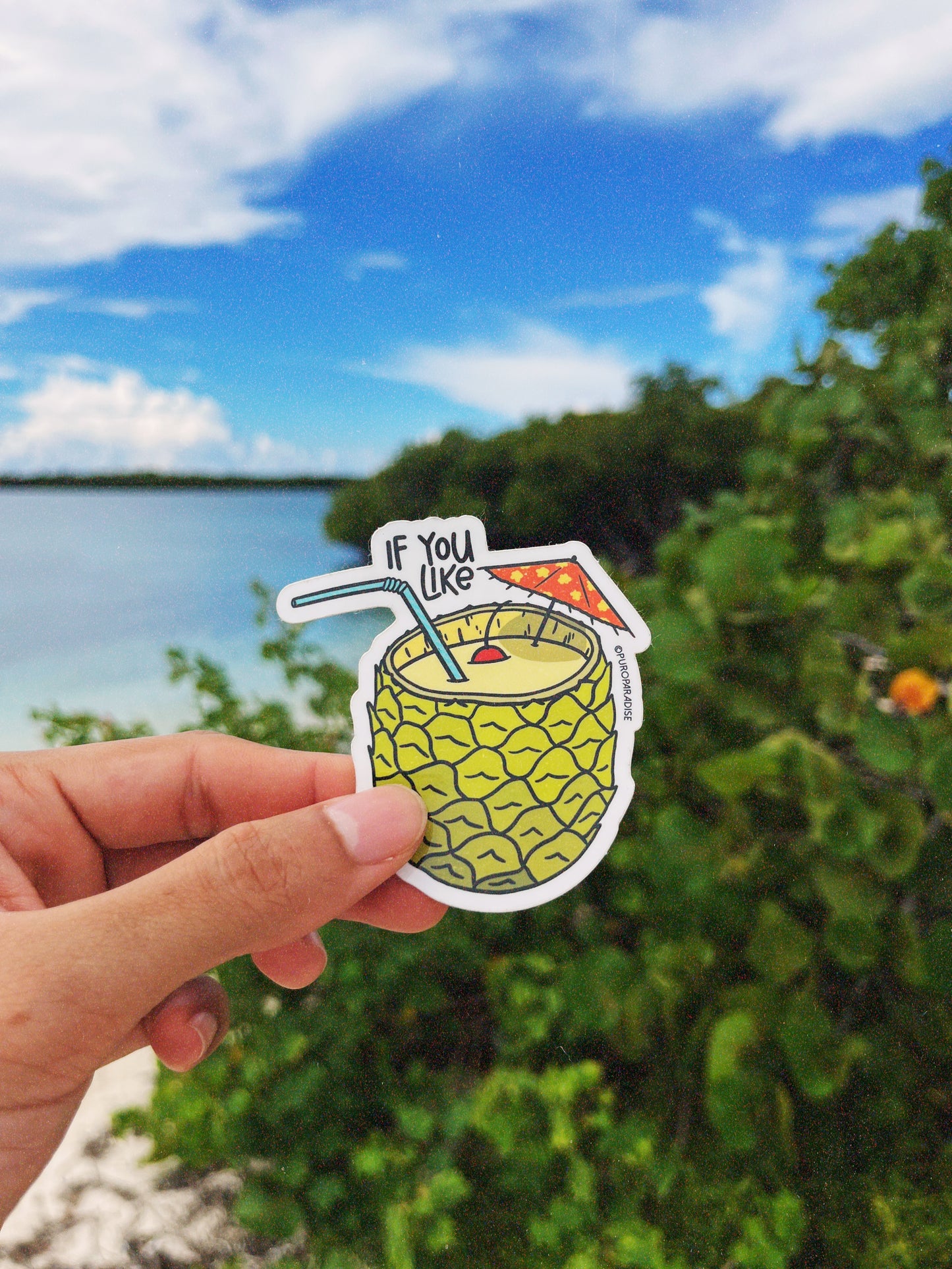 Piña Colada Sticker