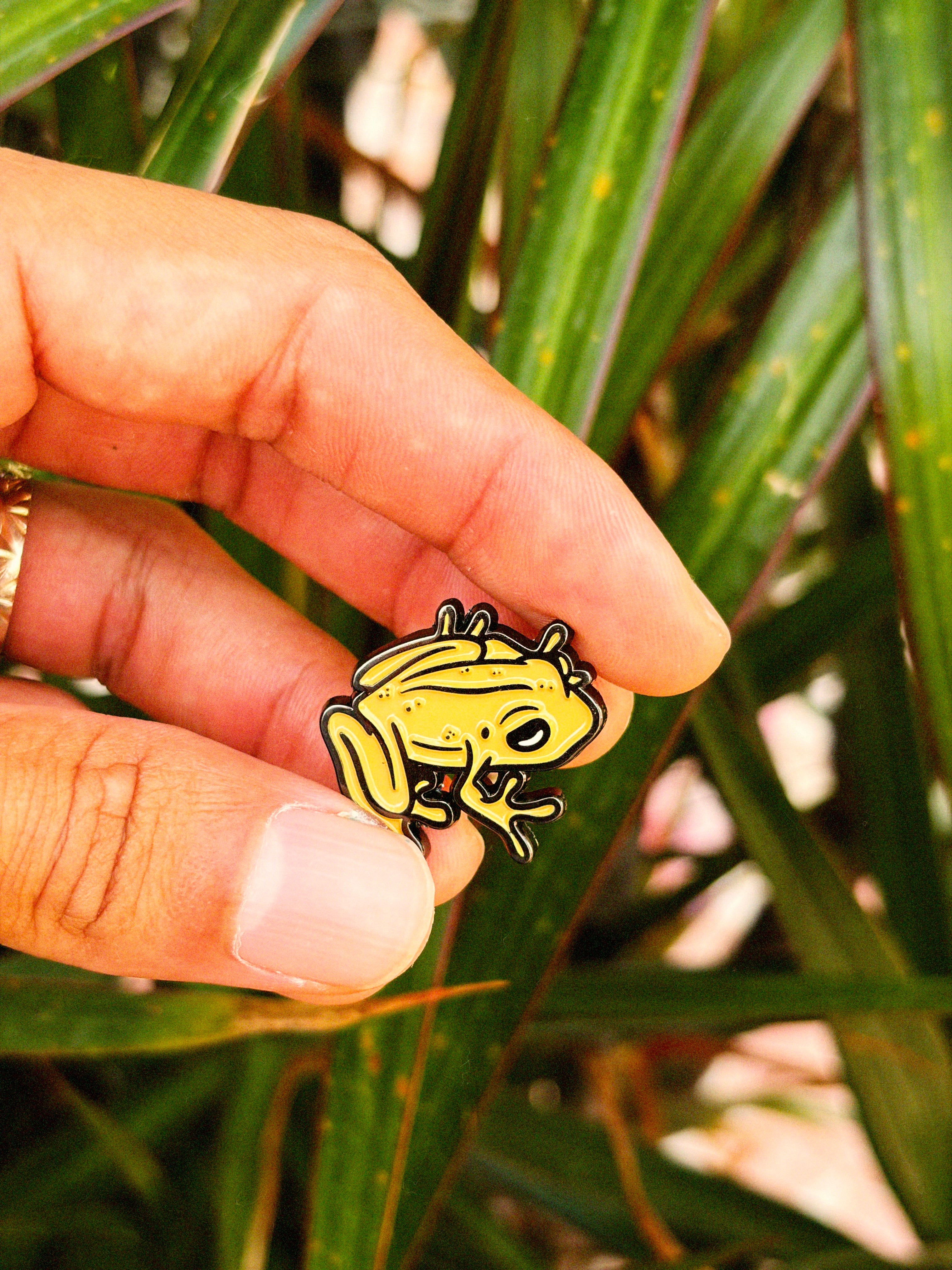 Coqui Pin