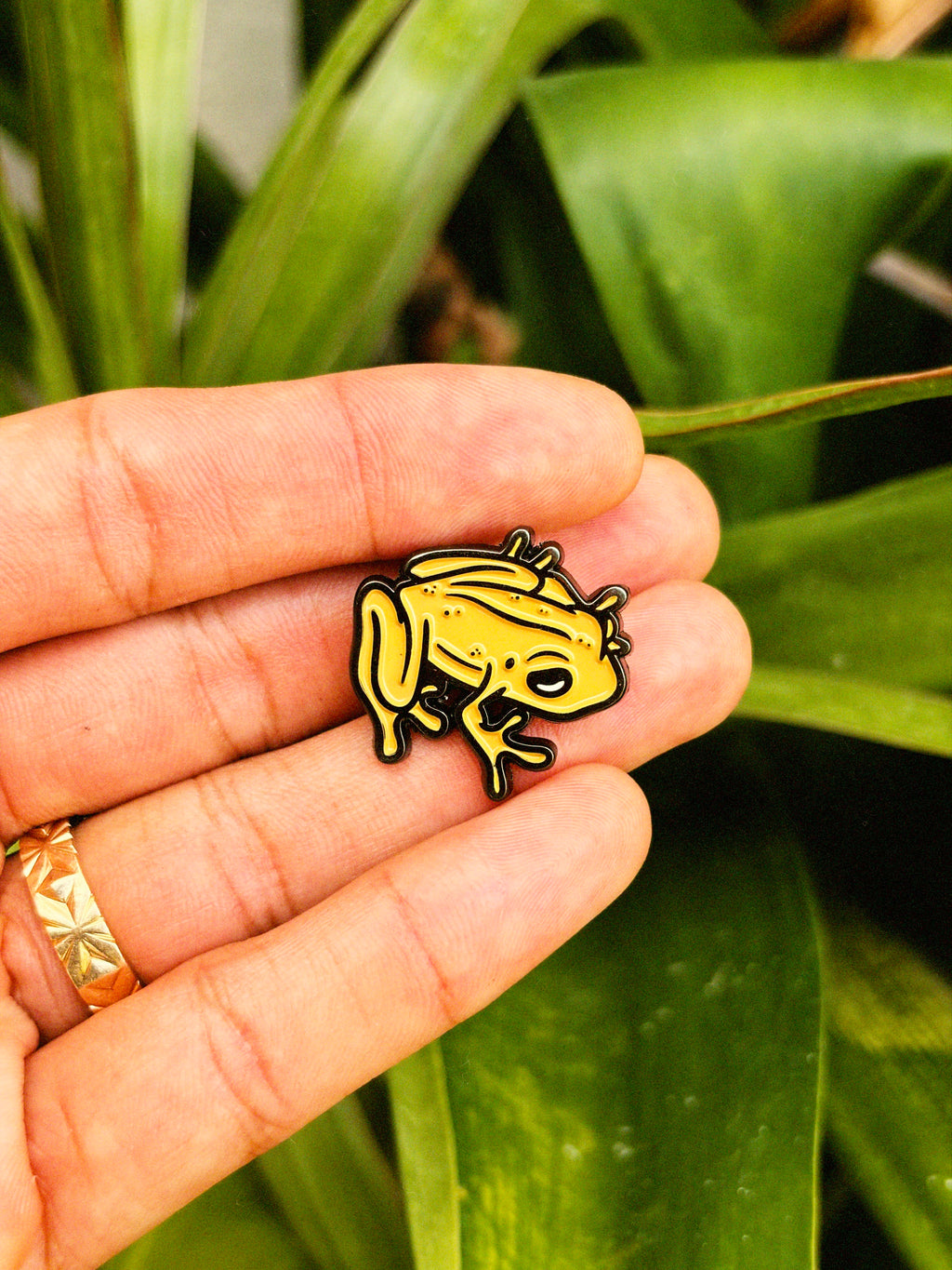 Coqui Pin
