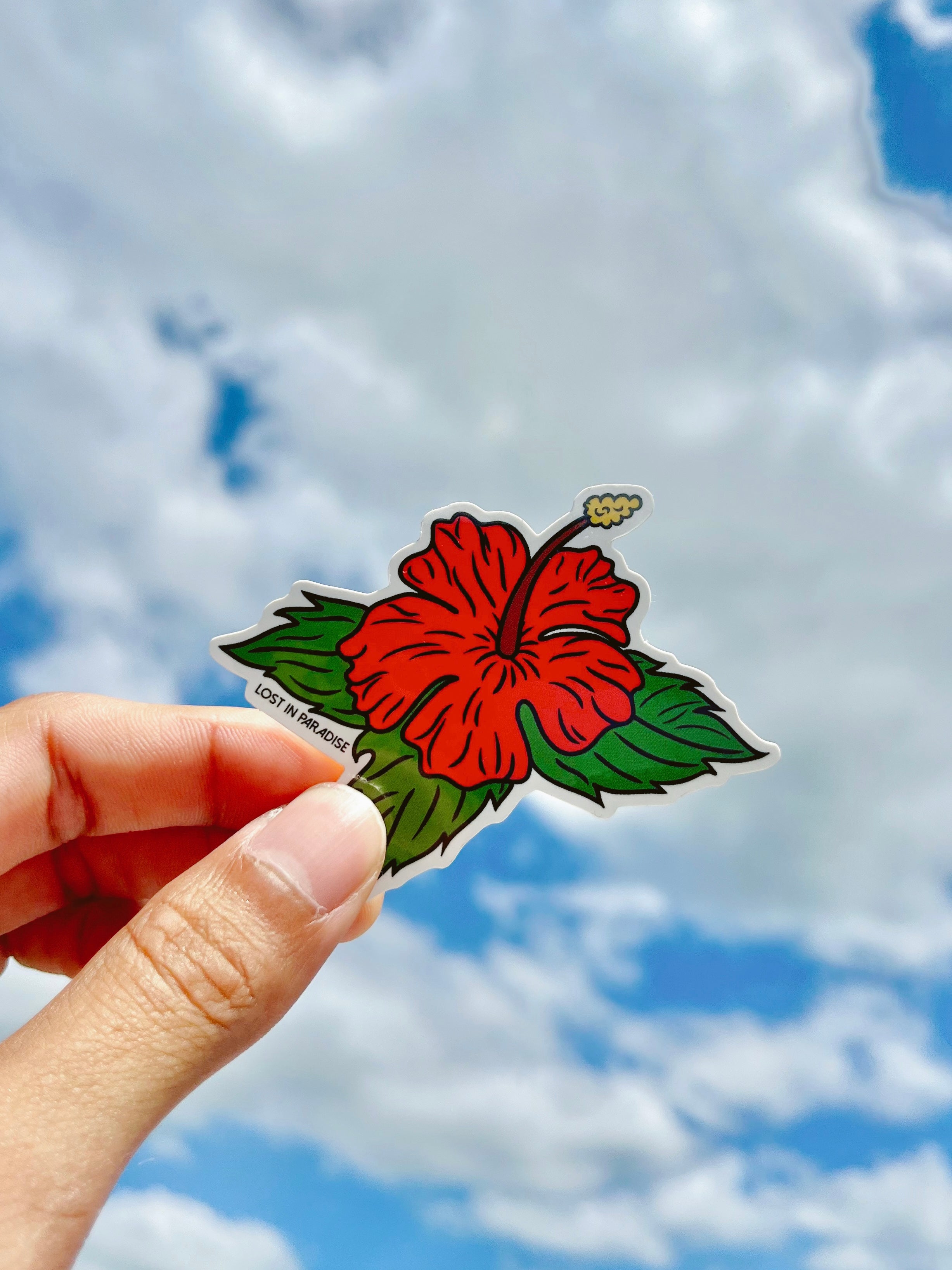 Flor de maga, Amapola, flor, puro paradise, sticker, puerto rico, premium, waterproof, weatherproof