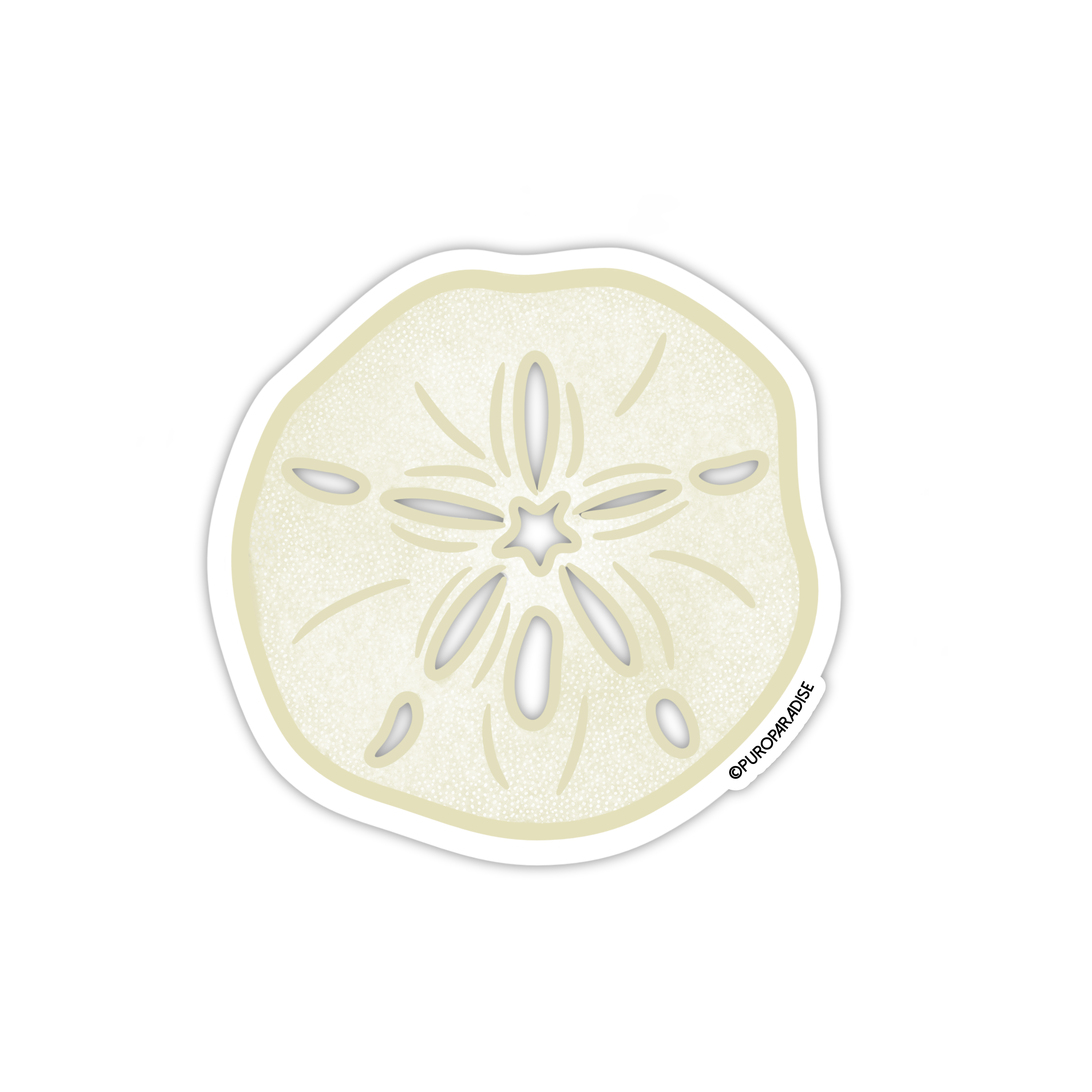 Sand Dollar Sticker