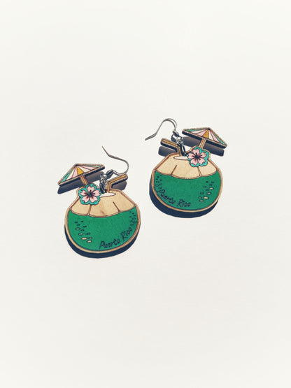 Wooden Coconut Earrings