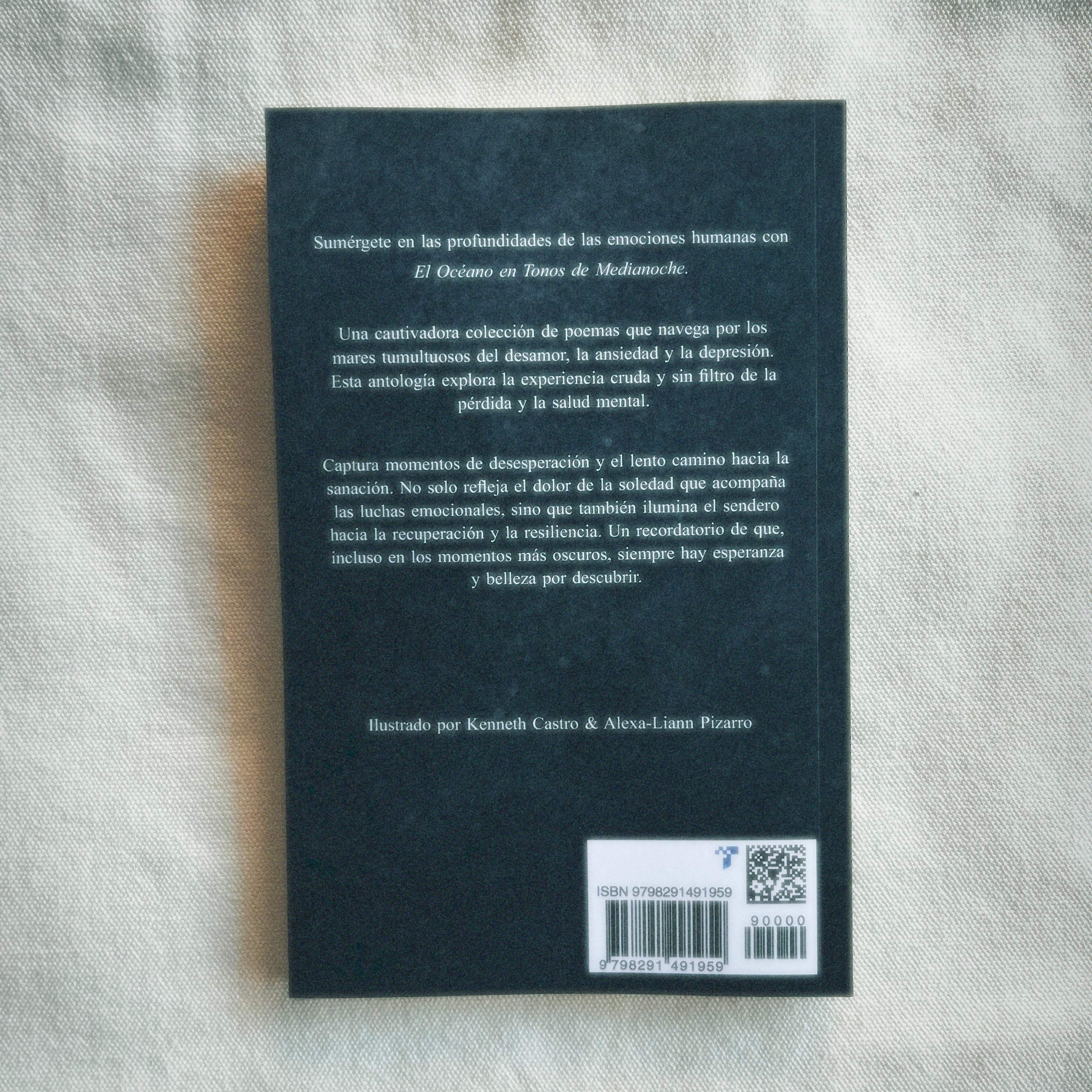 Back cover of a book with text and a barcode on a textured surface