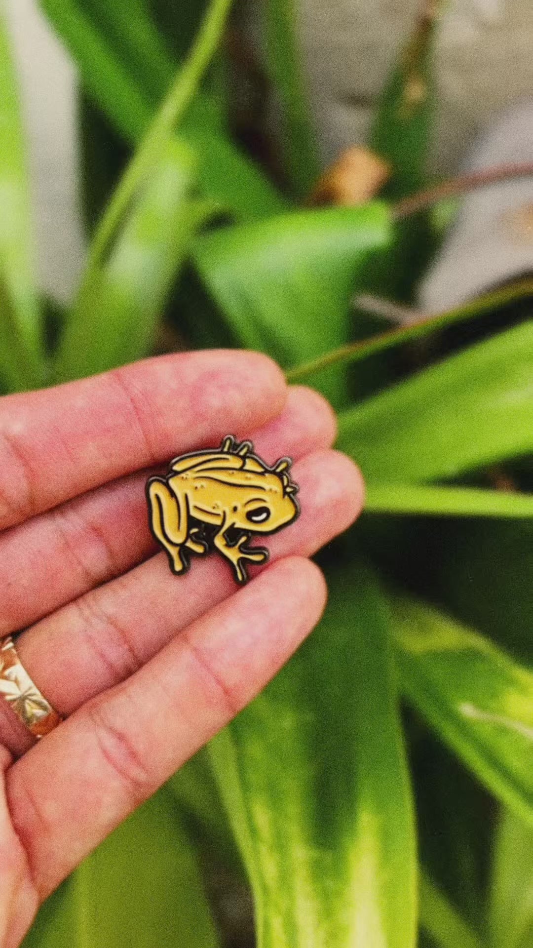 Coqui Pin